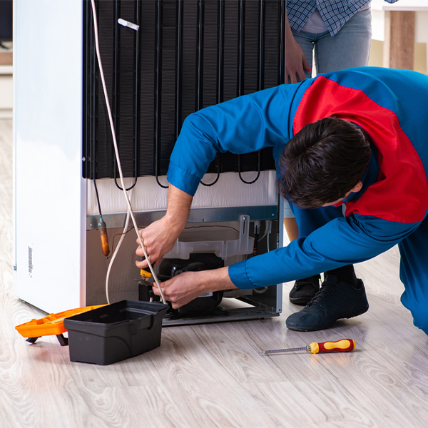 what are the common refrigerator repair services in Ruth MS